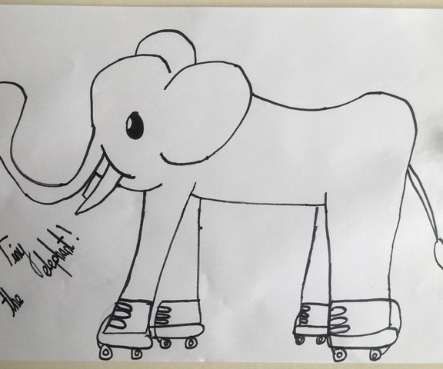 Tiny the elephant