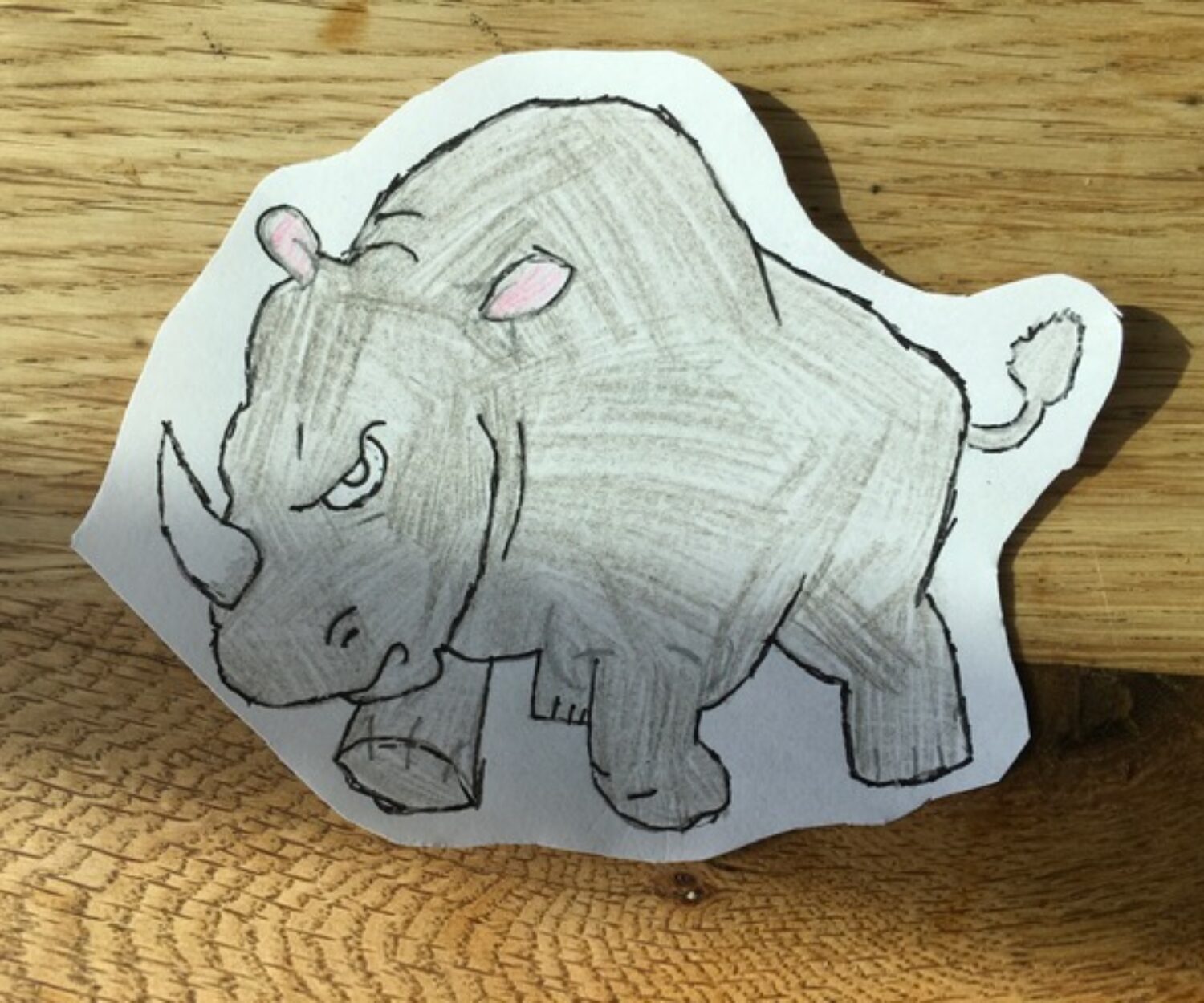 Terence the rhino